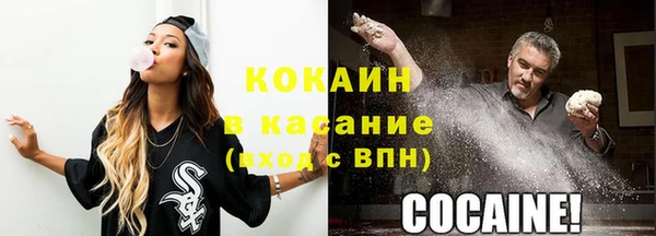 дживик Протвино