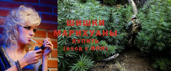 дживик Протвино
