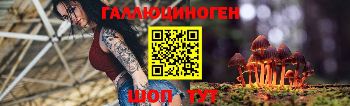 Галлюциногенные грибы GOLDEN TEACHER  Вход с VPN  Тула 